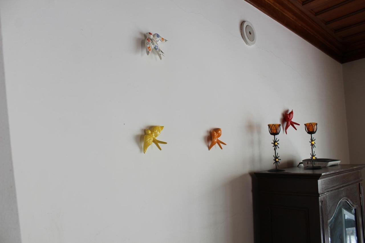 Charm House Casa Da Eira Villa Angeja Dış mekan fotoğraf