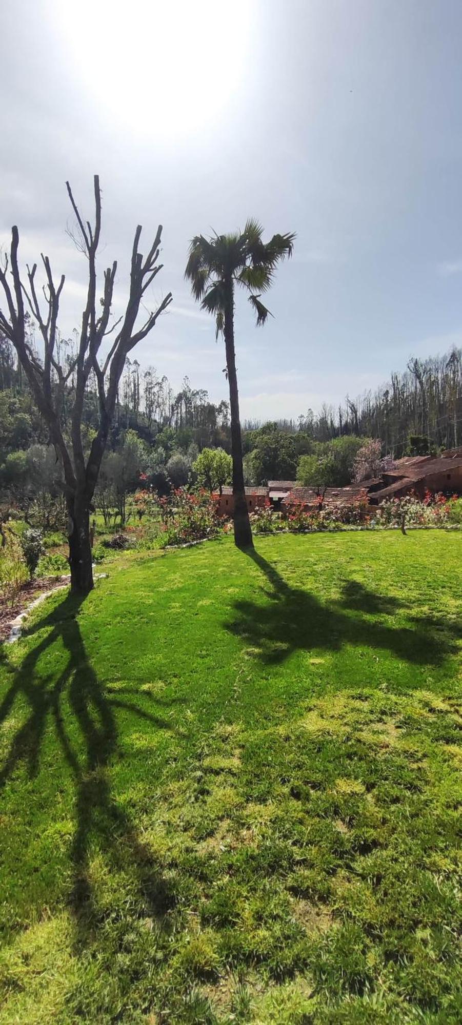 Charm House Casa Da Eira Villa Angeja Dış mekan fotoğraf